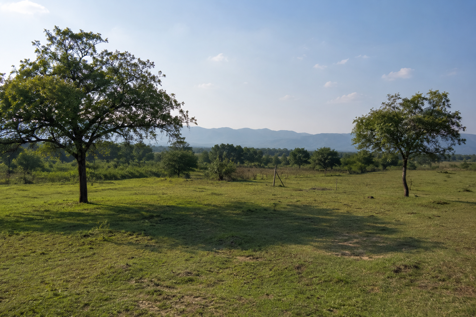 Natural surroundings